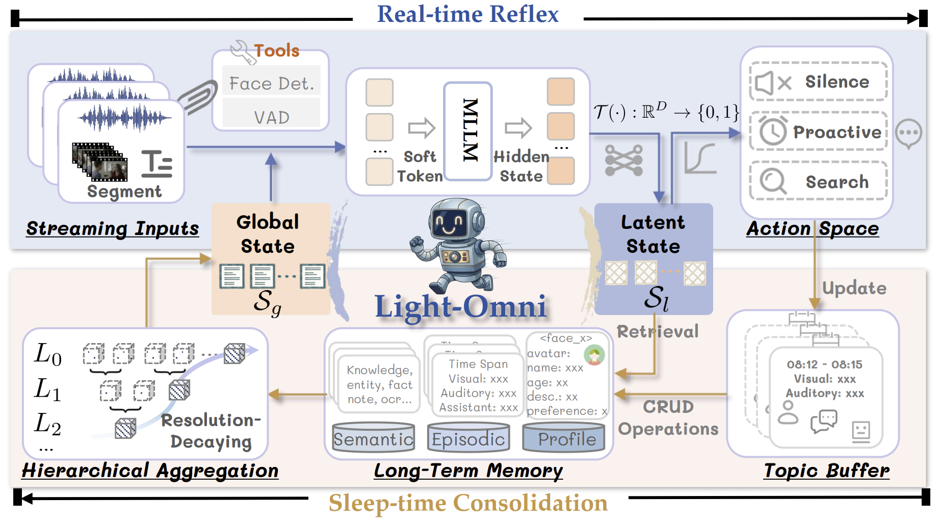 Light-Omni framework